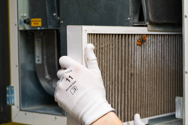 Best Local Air Duct Cleaning Services  in La Puente, CA